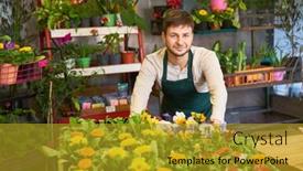  Presentation with flower - PPT theme consisting of young-man-working-as-florist background and a gold colored foreground