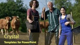  Presentation with vacation - Presentation with young-people-spending-green-vacation background and a tawny brown colored foreground