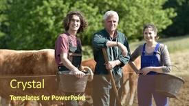  Presentation with vacation - Colorful PPT theme enhanced with young-people-spending-green-vacation backdrop and a tawny brown colored foreground