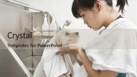 Presentation with grooming pet - Amazing PPT theme having young pet groomer looking backdrop and a mint green colored foreground