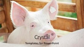  Presentation with ears - Beautiful PPT layouts featuring drawing home sales concept on backdrop and a light gray colored foreground