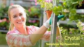  Presentation with happy smiling woman dental health - PPT theme having young plant - smiling woman working in garden background and a tawny brown colored foreground
