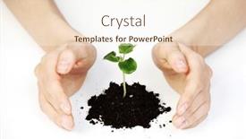  Presentation with young plant - Slides featuring young-plant-cover-their-hands background and a cream colored foreground