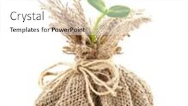  Presentation with young plant - 