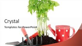  Presentation with young plant - Audience pleasing presentation theme consisting of young plant in ground isolated backdrop and a sky blue colored foreground