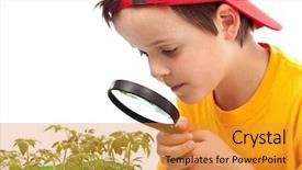  Presentation with plants - Amazing slides having young plants looking through magnifier backdrop and a gold colored foreground