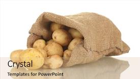  Presentation with ripe golden potato on white - Cool new presentation theme with young potatoes in a sack backdrop and a coral colored foreground