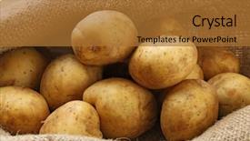  Presentation with potato - Presentation featuring young potatoes on sackcloth close background and a red colored foreground