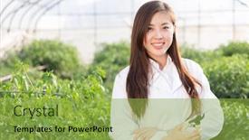  Presentation with agronomist - Beautiful presentation featuring young pretty chinese woman agronomist working in green house backdrop and a yellow colored foreground