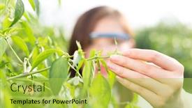  Presentation with agronomist - Colorful presentation enhanced with young pretty chinese woman agronomist working in green house backdrop and a yellow colored foreground