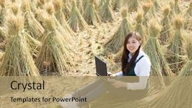  Presentation with golden woman - Beautiful presentation theme featuring young pretty chinese woman sits in golden cereal field backdrop and a coral colored foreground
