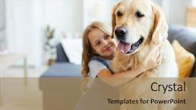  Presentation with home - Colorful slide deck enhanced with young purebred labrador and his backdrop and a coral colored foreground