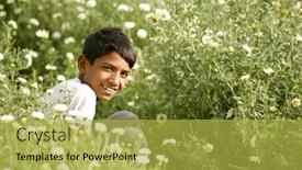  Presentation with daisy - Presentation theme consisting of young-rajasthani-boy-plucking-flowers background and a  colored foreground