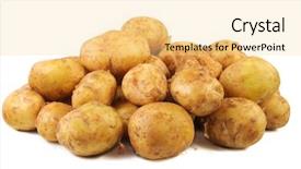  Presentation with potato - PPT theme featuring young raw potato isolated background and a blonde colored foreground