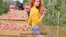  Presentation with orchard - Presentation theme featuring young-red-haired-woman-picking background and a coral colored foreground
