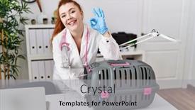  Presentation with pet - Slides enhanced with young-redhead-veterinarian-woman-checking background and a  colored foreground