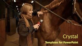  Presentation with ranch - Presentation consisting of young-satisfied-woman-grooming-horse background and a tawny brown colored foreground