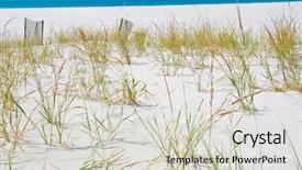  Presentation with lost at sea - Slide set consisting of young sea grass on sand background and a soft green colored foreground