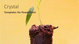  Presentation with agriculture greenhouse - Amazing presentation design having young-seedling-of-red-pepper backdrop and a yellow colored foreground