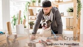  Presentation with new ideas - Amazing presentation theme having young serious designer in casualwear bending over table in front of laptop while surfing in the net for new ideas with his pet backdrop and a coral colored foreground