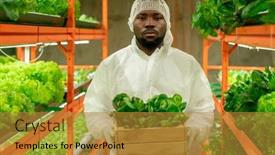  Presentation with african ethnicity - Audience pleasing PPT theme consisting of young-serious-male-agroengineer backdrop and a gold colored foreground