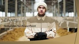  Presentation with livestock - Presentation design having young-serious-male-owner background and a coral colored foreground