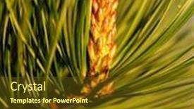  Presentation with cedar - Cool new slide deck with young-shoots-sprouts backdrop and a tawny brown colored foreground