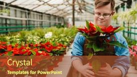  Presentation with apron - PPT theme with young-smiling-man-with-down background and a tawny brown colored foreground