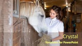  Presentation with white horse - Slide deck with young sporty woman in casualwear looking at white horse while feeding her with fresh hay in stable after race or training background and a tawny brown colored foreground