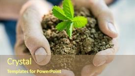  Presentation with plant ecology - Beautiful presentation design featuring young spring plant in hands backdrop and a coral colored foreground
