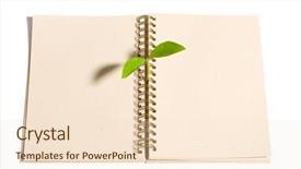  Presentation with sprout - Presentation design enhanced with life story black white - young sprout growing background and a lemonade colored foreground