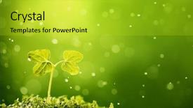  Presentation with springtime - Beautiful presentation design featuring young sprout in springtime closeup backdrop and a yellow colored foreground