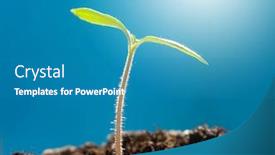  Presentation with sprout - Theme enhanced with young sprout on green background in the sunlight background and a teal colored foreground