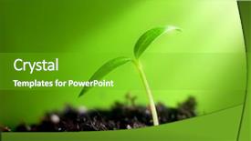  Presentation with sprout - PPT theme featuring young sprout on green background background and a shamrock green colored foreground