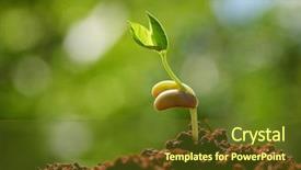  Presentation with sprout - Colorful PPT theme enhanced with young sprout on green background backdrop and a tawny brown colored foreground