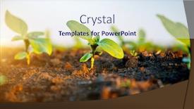  Presentation with earth day - Colorful slide set enhanced with young-sunflower-sprout-growing-out backdrop and a sky blue colored foreground