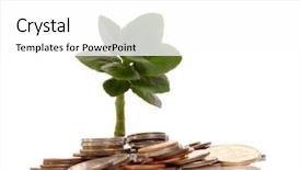  Presentation with growing tree - Audience pleasing PPT theme consisting of young tree growing from pile backdrop and a white colored foreground