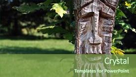  Presentation with old growth - Audience pleasing presentation consisting of young tree stump with new backdrop and a seafoam green colored foreground