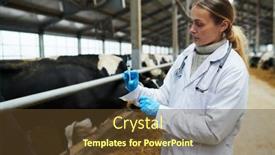  Presentation with vaccination - Presentation enhanced with young-vet-clinician-in-labcoat background and a  colored foreground