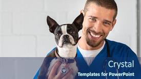  Presentation with vet - Presentation theme consisting of young vet doctor with boston terrier looking at camera portrait of veterinarian guy smiling while holding a puppy dog handsome vet wearing stethoscope holding little dog at clinic background and a ocean colored foreground