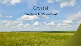  Presentation with summer sun - Colorful presentation enhanced with young wheat field as background bright sun beautiful summer landscape backdrop and a light blue colored foreground