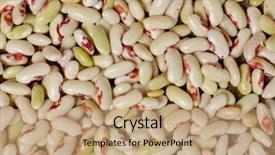  Presentation with kidney - Slide set featuring young-white-kidney-beans-background background and a coral colored foreground