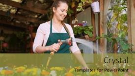  Presentation with nursery plant - Slide set having young-woman-as-a-florist background and a gold colored foreground