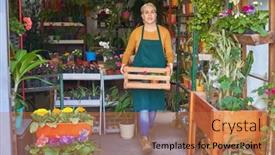  Presentation with apprentice - 