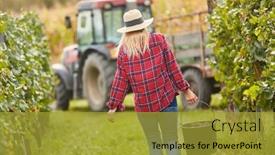  Presentation with young woman wearing boxer gloves - Cool new slides with young-woman-as-a-harvest backdrop and a gold colored foreground