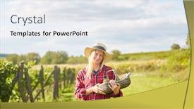  Presentation with harvest - Audience pleasing slides consisting of young-woman-as-a-winegrower backdrop and a sky blue colored foreground