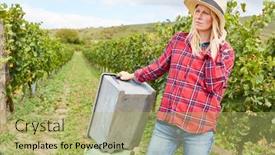  Presentation with harvest - Colorful slide deck enhanced with young-woman-as-a-winegrower backdrop and a mint green colored foreground