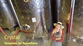  Presentation with bottling wine - PPT layouts consisting of young-woman-as-a-winemaker background and a violet colored foreground