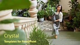  Presentation with catering - PPT theme having young-woman-as-florist-delivers background and a tawny brown colored foreground