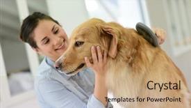  Presentation with dog - PPT theme with young woman brushing her dog' background and a coral colored foreground